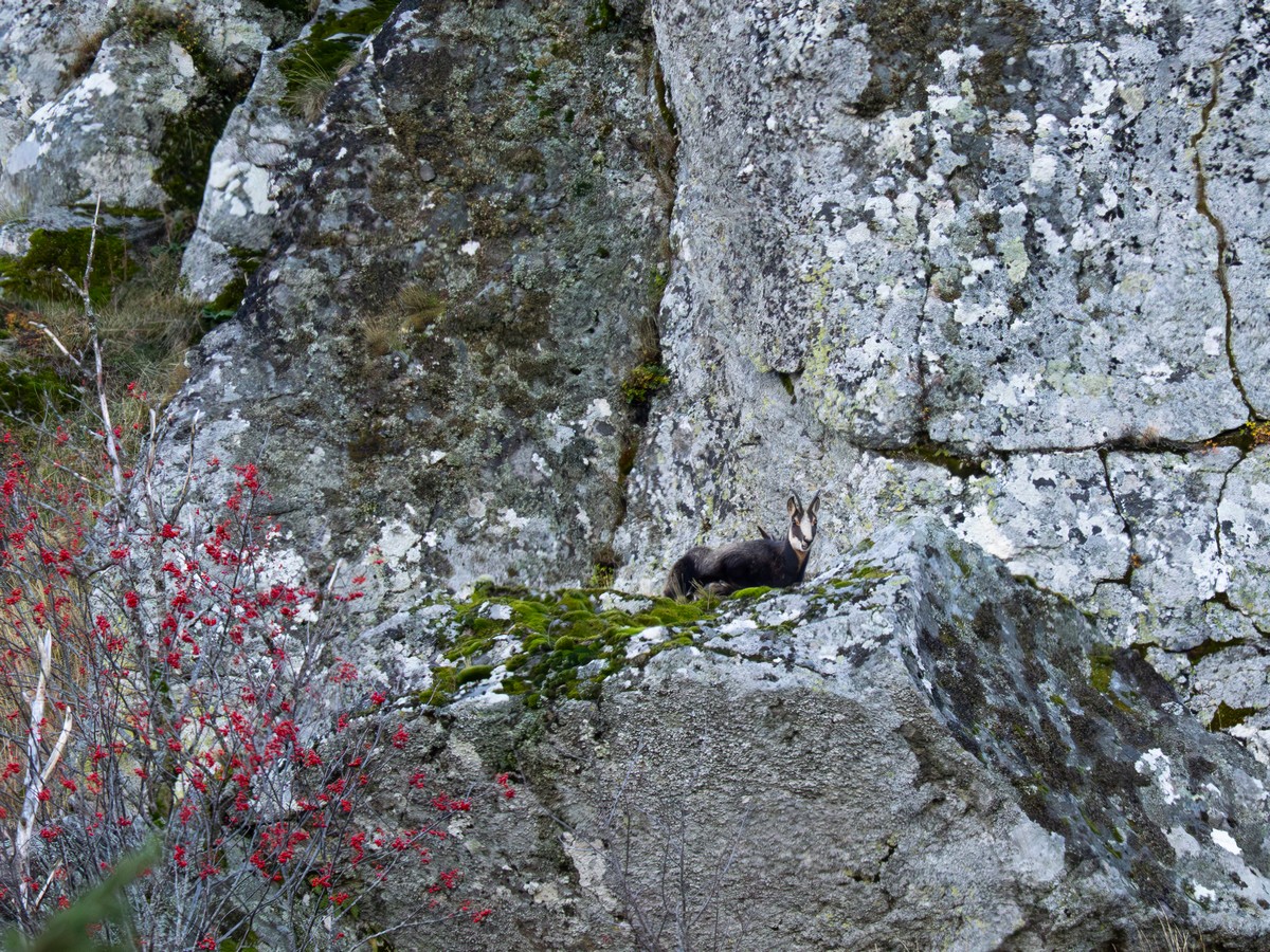 30102025-30 10 25 (10).jpg